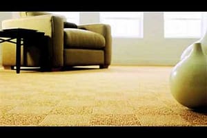 carpet cleaning