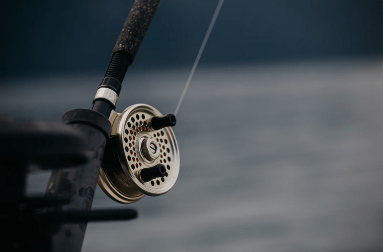 The Best Types of Fishing Reels for Muskies and the Reasons Why