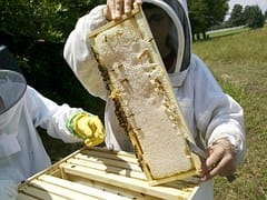 people taking honey